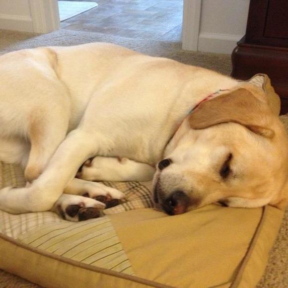 Meet your Posher, Jennifer - Picture 1 of 1